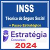 inss-tec-seg-pre