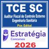 tce-sc-auditor-eng-sanita